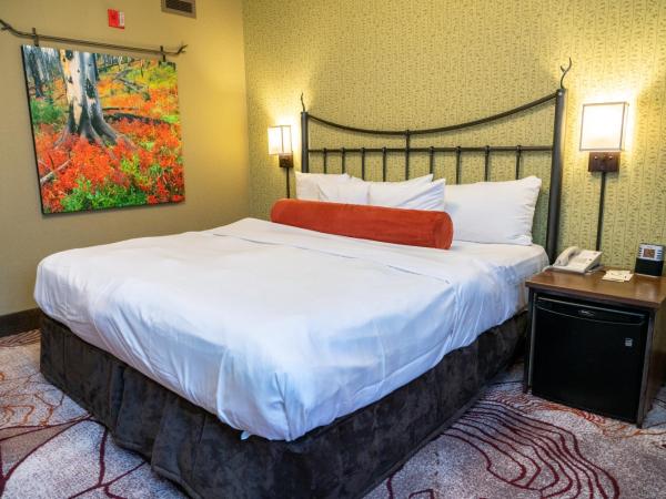 Banff Caribou Lodge and Spa : photo 1 de la chambre chambre lit king-size standard