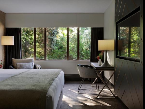 Mövenpick Hotel Wellington : photo 6 de la chambre chambre lit king-size supérieure