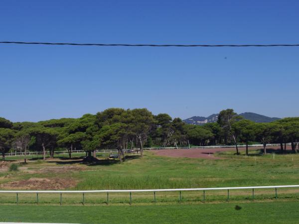 Les Stoechades : photo 6 de la chambre studio - rez-de-chaussée