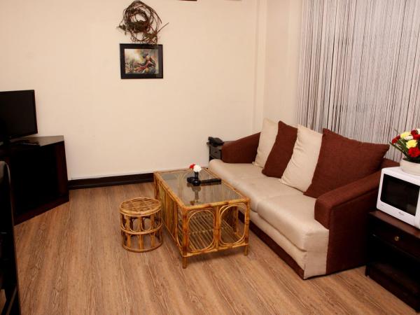 Dream Nepal Hotel and Apartment : photo 3 de la chambre suite deluxe avec cuisine et terrasse