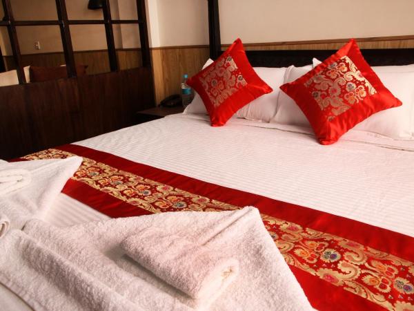 Dream Nepal Hotel and Apartment : photo 7 de la chambre studio avec cuisine et terrasse