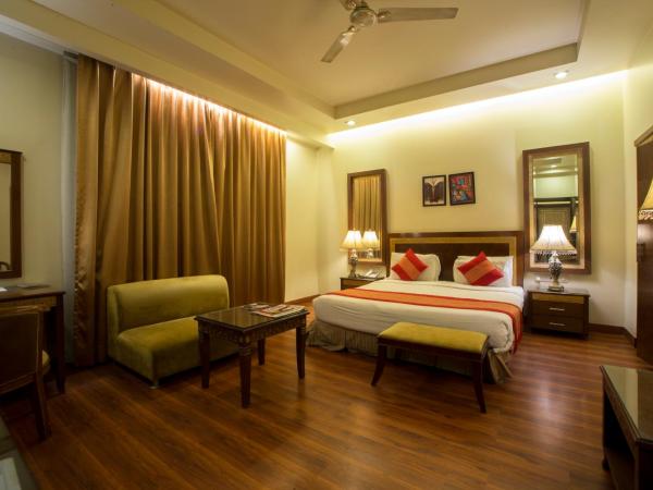 Hotel Picasso Paschim Vihar Delhi - Couple Friendly Local IDs Accepted : photo 2 de la chambre chambre double supérieure