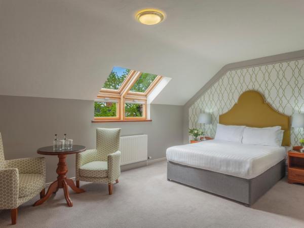 The Malone : photo 4 de la chambre chambre double exécutive