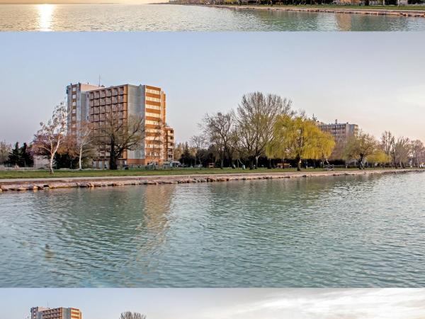 Vízparti SAS Apartman Siófok : photo 5 de la chambre studio