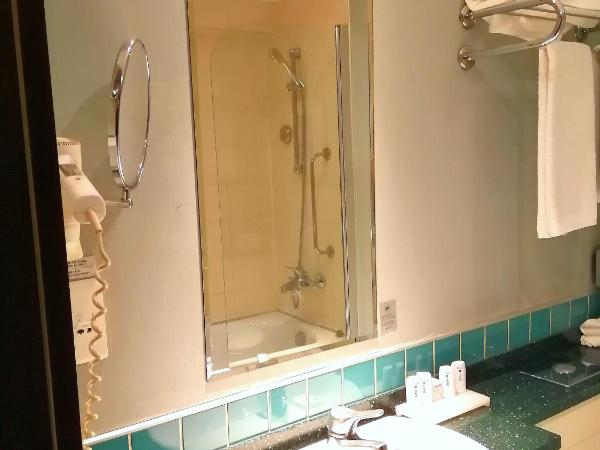 Radisson Blu Ankara : photo 8 de la chambre chambre supérieure avec balcon et vue sur la ville