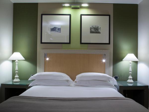 Starhotels Tuscany : photo 4 de la chambre chambre double classique