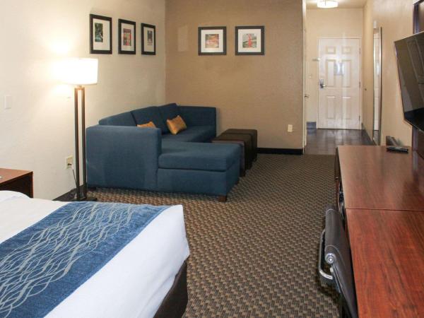 Comfort Inn & Suites Near Six Flags & Medical Center : photo 10 de la chambre suite lit king-size – non-fumeurs