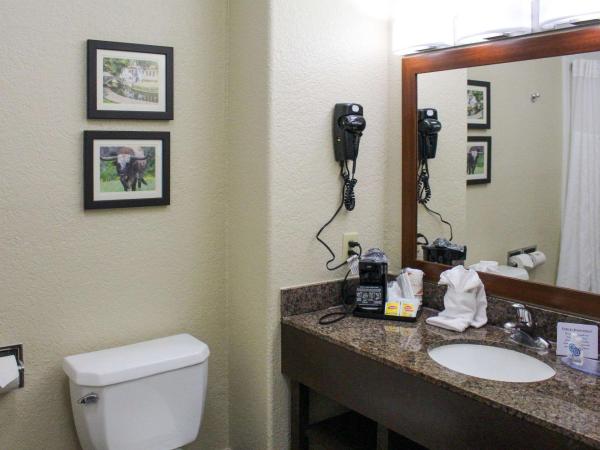 Comfort Inn & Suites Near Six Flags & Medical Center : photo 8 de la chambre chambre lit king-size - non-fumeurs