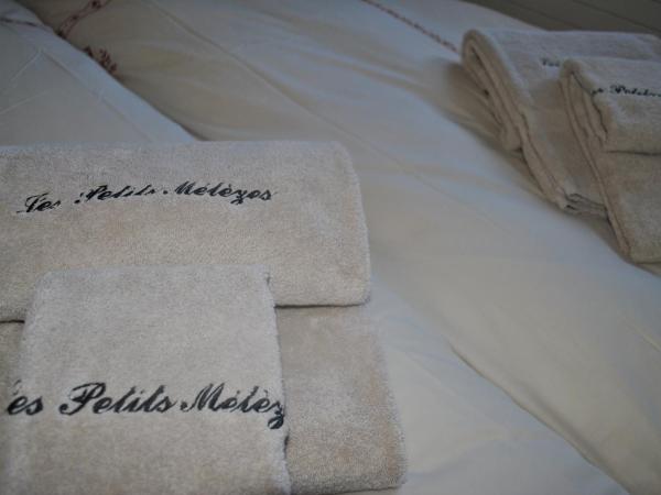 Les Petits Mélèzes : photo 4 de la chambre chambre double confort