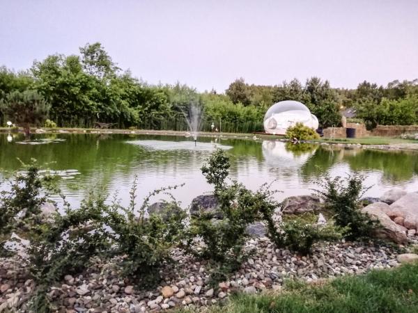 W BAŃCE Glamping : photo 7 de la chambre bitcoin bubble tent