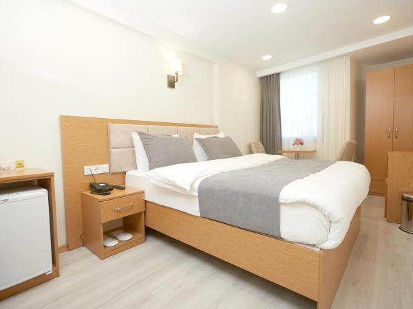 Kartal Palace Taksim Square FAMİLY HOTEL : photo 4 de la chambre chambre familiale standard