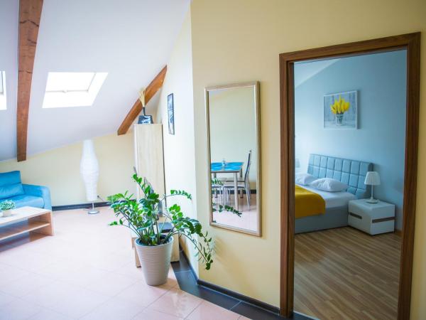 City Aparthotel : photo 6 de la chambre appartement 1 chambre