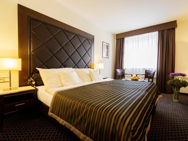 Hotel Selsky Dvur - Bohemian Village Courtyard : photo 7 de la chambre chambre simple deluxe