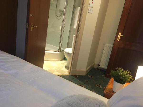 Terra Nova Hotel : photo 3 de la chambre chambre simple avec salle de bains privative