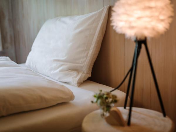 Wildstrubel Lodge : photo 5 de la chambre chambre double - vue sur montagne