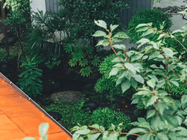 Guesthouse toco : photo 7 de la chambre lit superposé dans dortoir pour femmes
