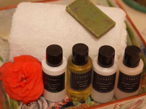 CASA ALFAREROS : photo 2 de la chambre suite présidentielle