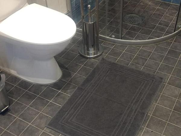 Villa Kungssten : photo 6 de la chambre chambre simple avec salle de bains privative