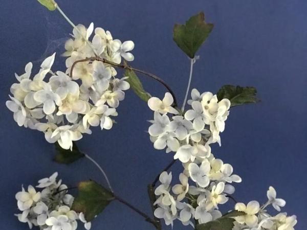 Quinta Bogesi : photo 8 de la chambre chambre double deluxe - vue sur mer