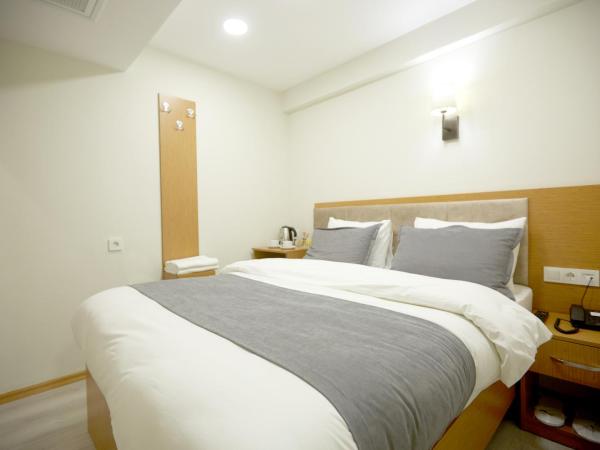 Kartal Palace Taksim Square FAMİLY HOTEL : photo 7 de la chambre chambre familiale standard
