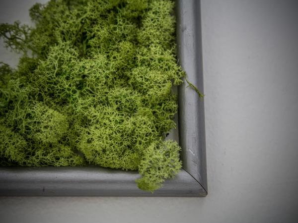 Wake Up Wellness Hostel : photo 4 de la chambre chambre quadruple confort