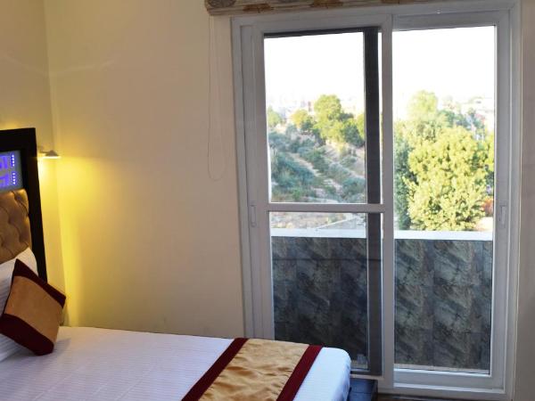 Lilypool - The Heritage Jalmahal : photo 1 de la chambre chambre double ou lits jumeaux deluxe supérieure