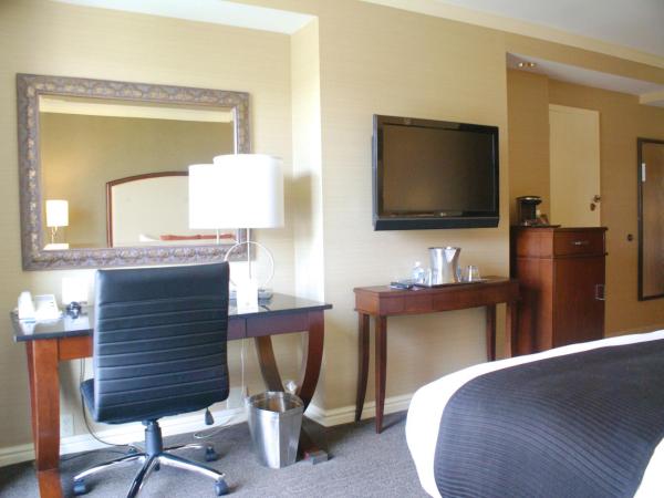 Wyndham Grand Pittsburgh : photo 3 de la chambre chambre lit king-size - accessible aux personnes à mobilité réduite