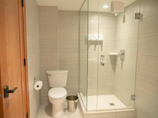 Banff Ptarmigan Inn : photo 8 de la chambre suite lit king-size - vue sur montagne