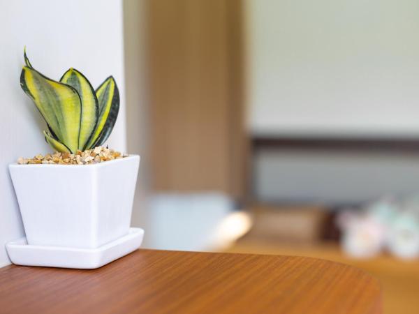 ปันสุข ห้องพักหลักร้อย Pun-Suk : photo 6 de la chambre chambre double standard