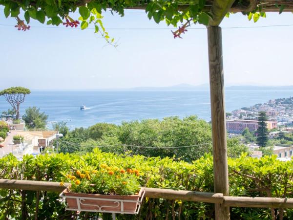 Guesthouse Coralba : photo 5 de la chambre chambre double - vue sur mer