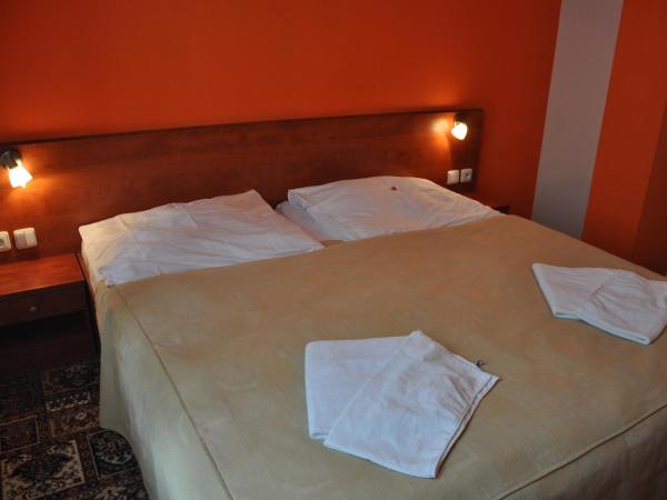 City Central De Luxe : photo 9 de la chambre chambre double ou lits jumeaux