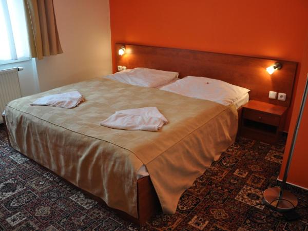 City Central De Luxe : photo 9 de la chambre chambre double ou lits jumeaux (1 adulte)