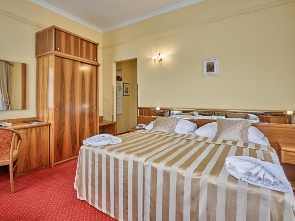 Hotel Sirius : photo 3 de la chambre special offer - double room with park view and balneo package