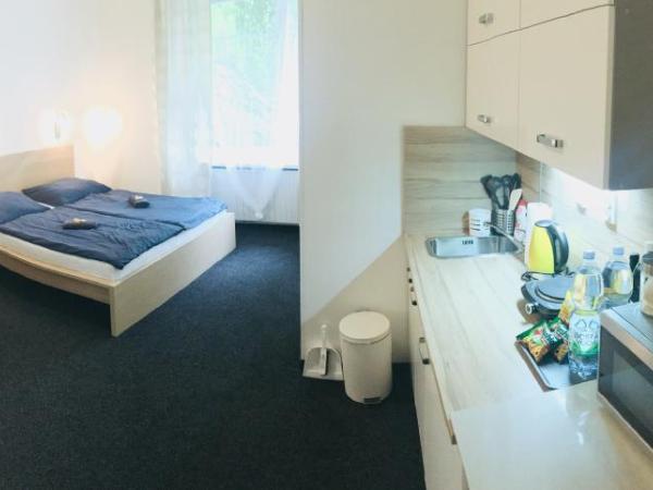 APARTHOTEL VÍTKOVICE : photo 8 de la chambre appartement supérieur