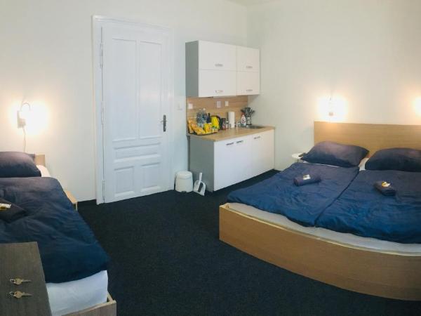 APARTHOTEL VÍTKOVICE : photo 1 de la chambre appartement 1 chambre