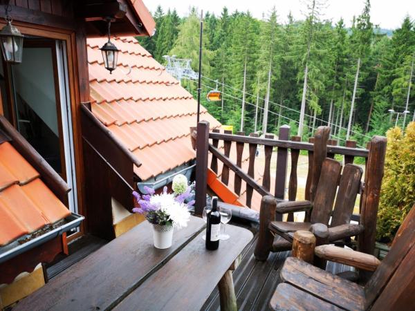 Safir przy samym WYCIĄGU : photo 2 de la chambre appartement avec terrasse