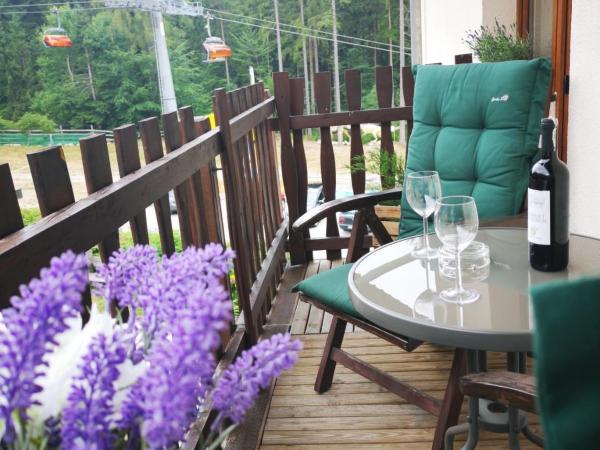 Safir przy samym WYCIĄGU : photo 1 de la chambre appartement avec vue sur la montagne