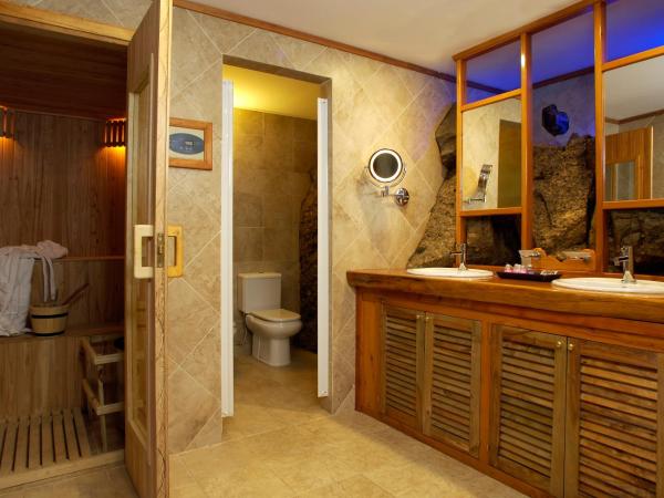 Charming Luxury Lodge & Private Spa : photo 8 de la chambre suite premium avec sauna