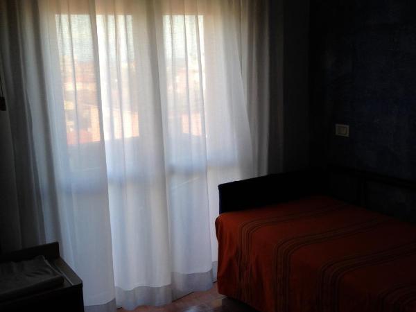 Hotel Viking : photo 6 de la chambre chambre simple