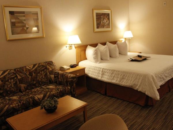Humphry Inn and Suites : photo 9 de la chambre chambre lit king-size avec bureau