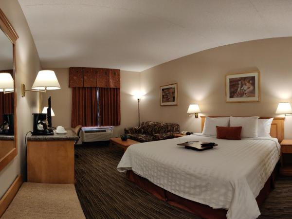 Humphry Inn and Suites : photo 3 de la chambre chambre lit king-size avec bureau