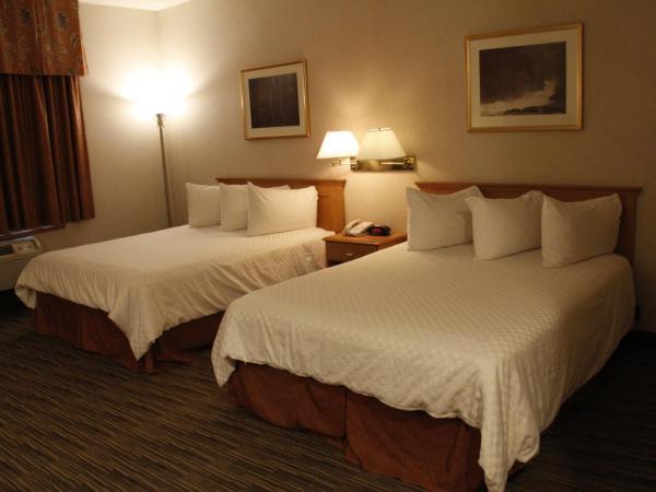 Humphry Inn and Suites : photo 10 de la chambre chambre lit queen-size