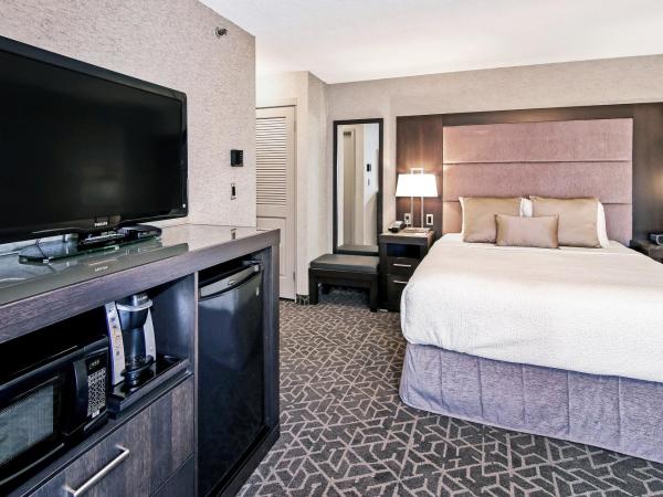 Best Western Plus Siding 29 Lodge : photo 3 de la chambre chambre lit queen-size