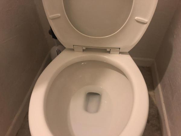 WHOLE Family - WholeVille : photo 5 de la chambre lit superposé dans dortoir mixte