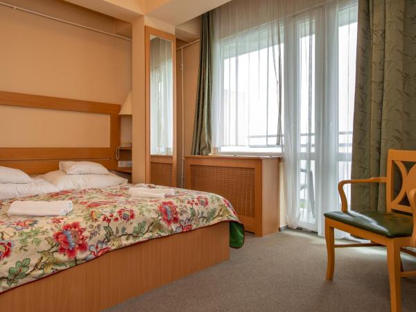 Hotel Fit Hévíz : photo 2 de la chambre chambre simple standard avec balcon