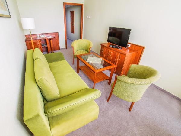 Hotel Silver : photo 4 de la chambre two-bedroom apartment with balcony - main building