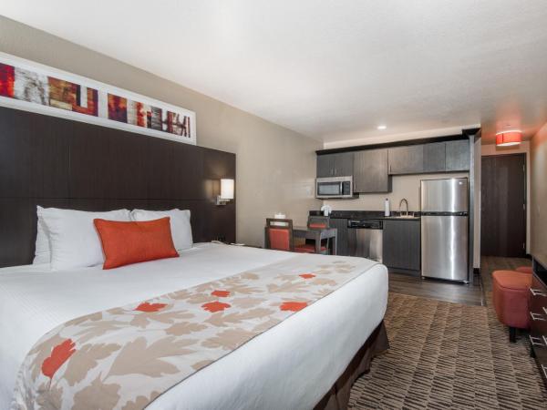 Hawthorn Suites Las Vegas : photo 1 de la chambre suite lit king-size avec canapé-lit et cuisine - non-fumeurs