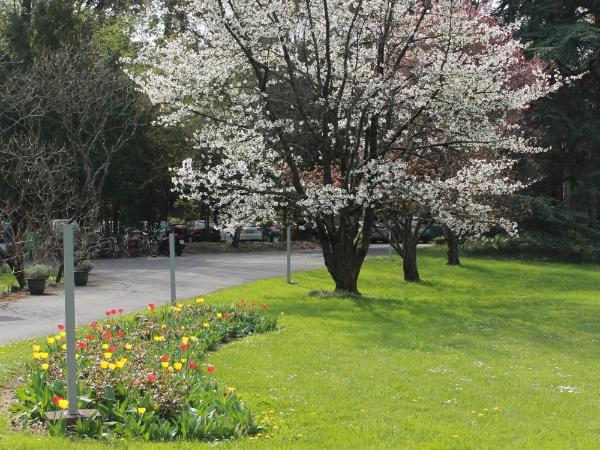 Le Cénacle : photo 3 de la chambre chambre simple standard avec douche
