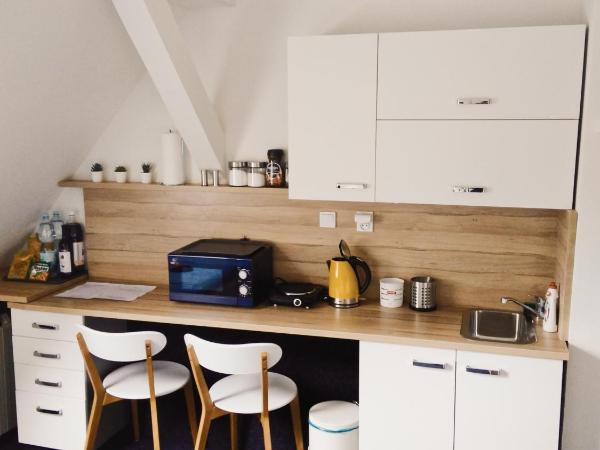 APARTHOTEL VÍTKOVICE : photo 3 de la chambre appartement avec douche