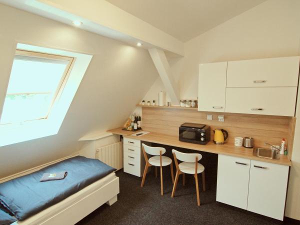 APARTHOTEL VÍTKOVICE : photo 1 de la chambre appartement avec douche